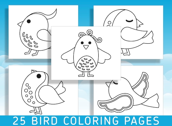 Fun and easy bird coloring pages for kindergarten and preschool delightful designs to spark creativity pdf file instant download