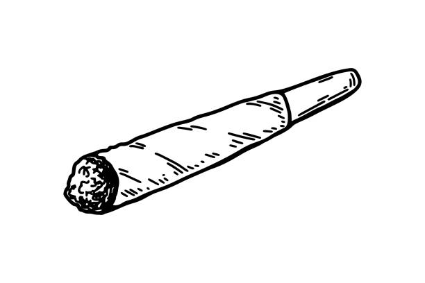 Blunt drawing stock illustrations royalty