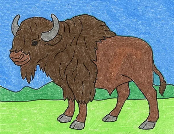 Easy how to draw a bison tutorial and bison coloring page