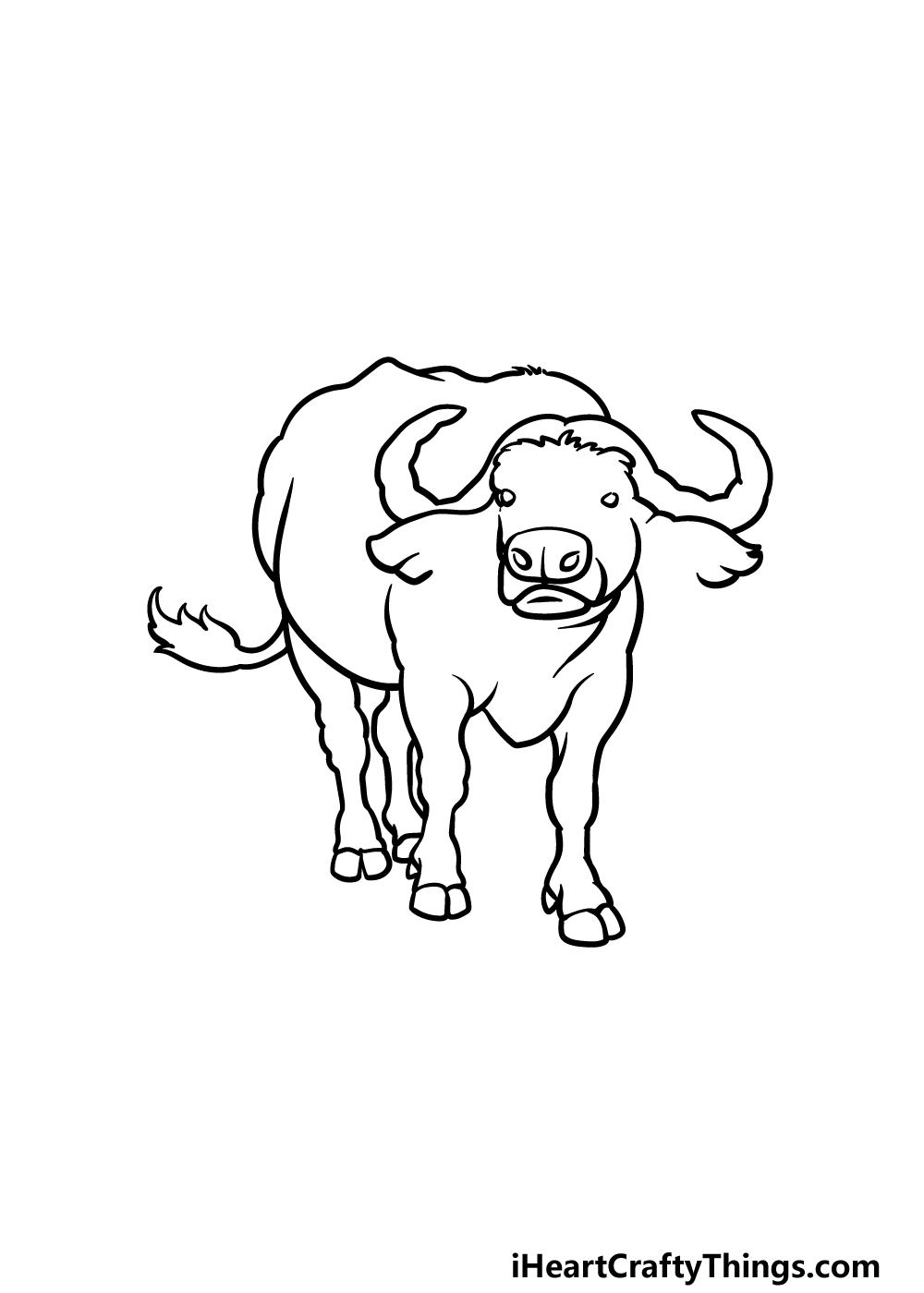 Buffalo drawing