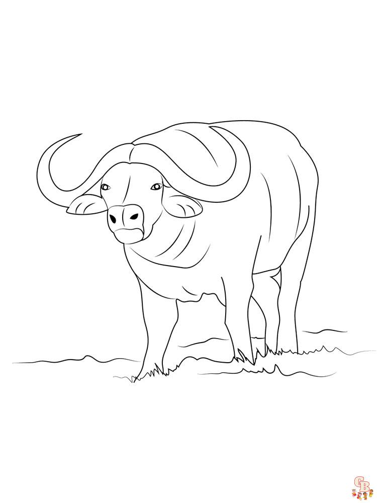 Discover buffalo with free printable coloring pages
