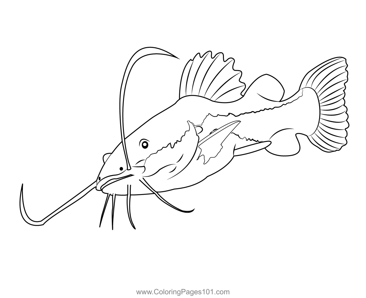 Redtail catfish coloring page red tail catfish coloring pages catfish