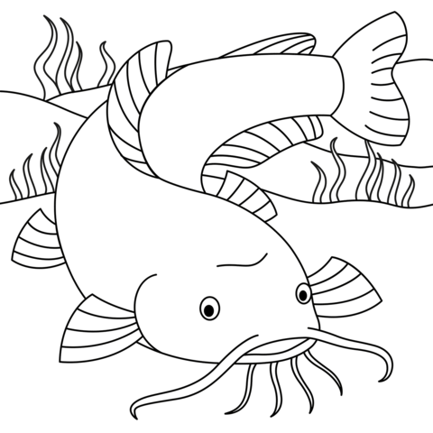 Catfish coloring page free printable coloring pages