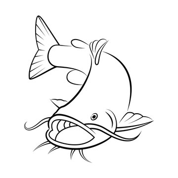 Catfish drawing images â browse photos vectors and video