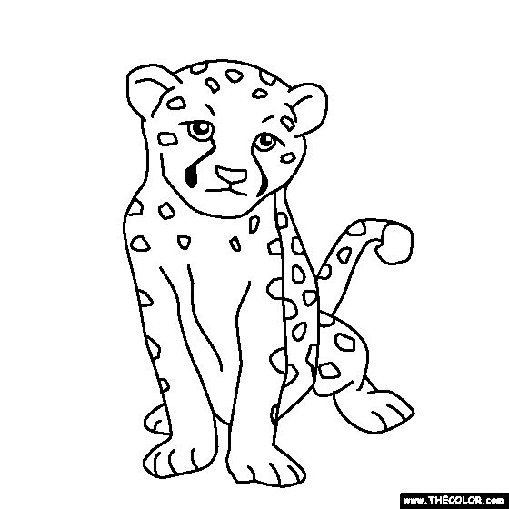 Baby cheetah coloring page online coloring pages coloring pages coloring pages for kids