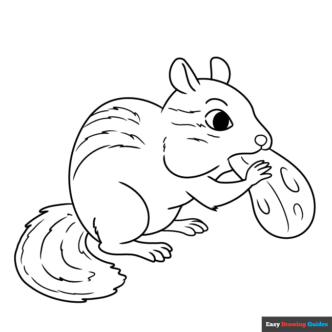 Chipmunk coloring page easy drawing guides