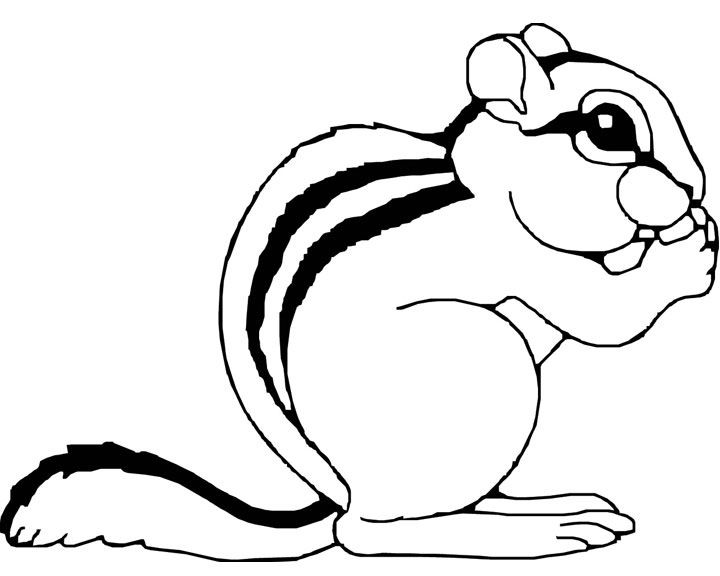 Chipmunk coloring pages