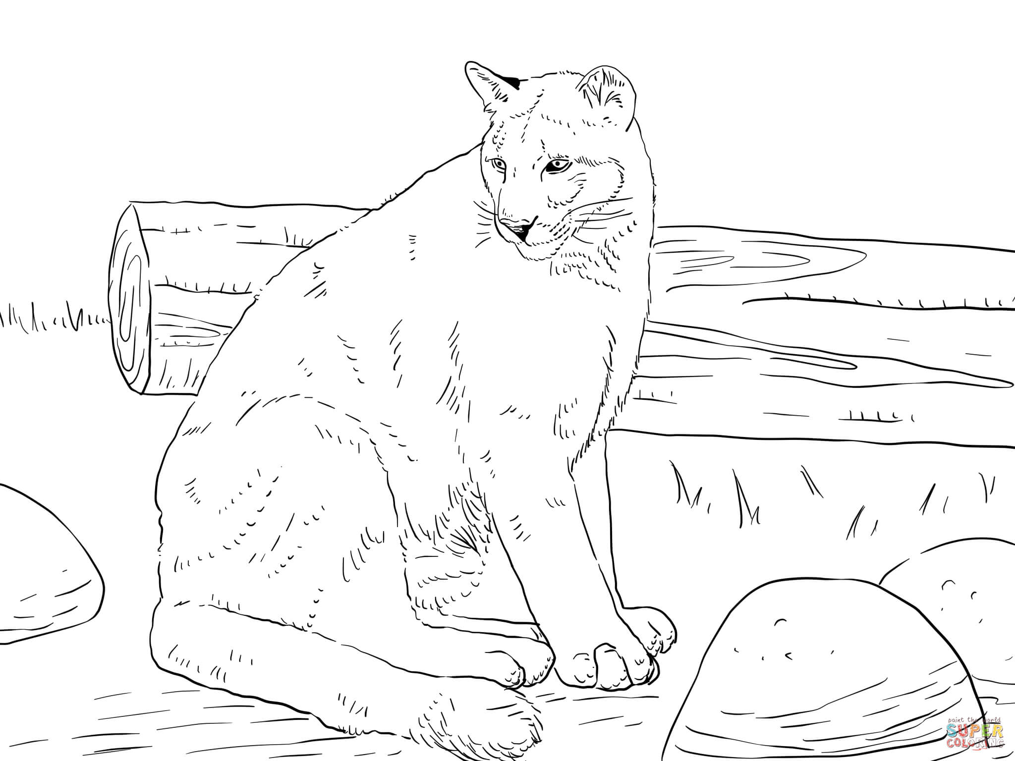 Sitting cougar coloring page free printable coloring pages