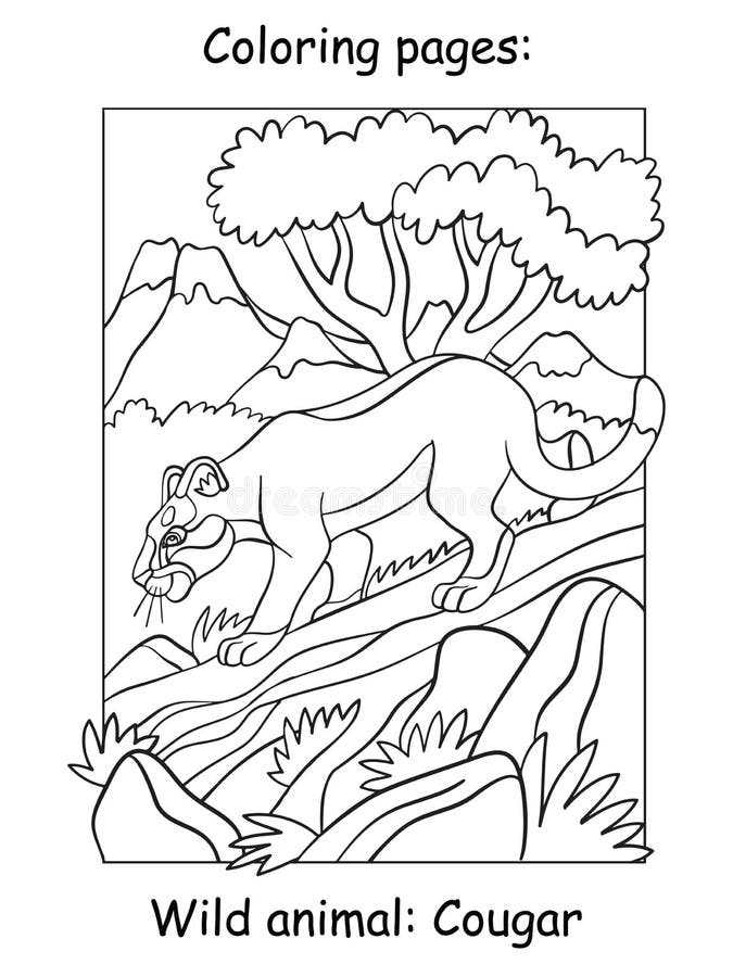 Cougar coloring stock illustrations â cougar coloring stock illustrations vectors clipart