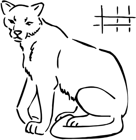 Cougar coloring page free printable coloring pages