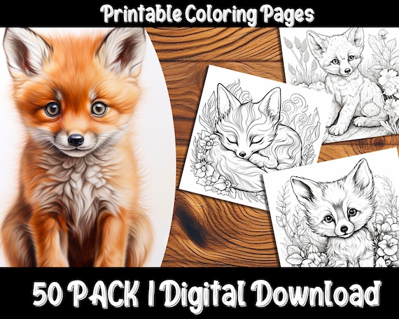 Baby fox coloring pages discover the charm of the forest with our adorable and easy