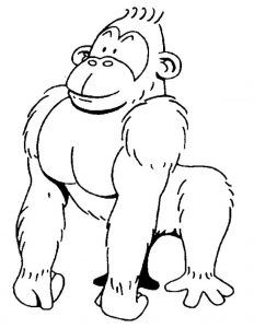 Gorilla coloring pages gorilas orangutanes dibujos de animales