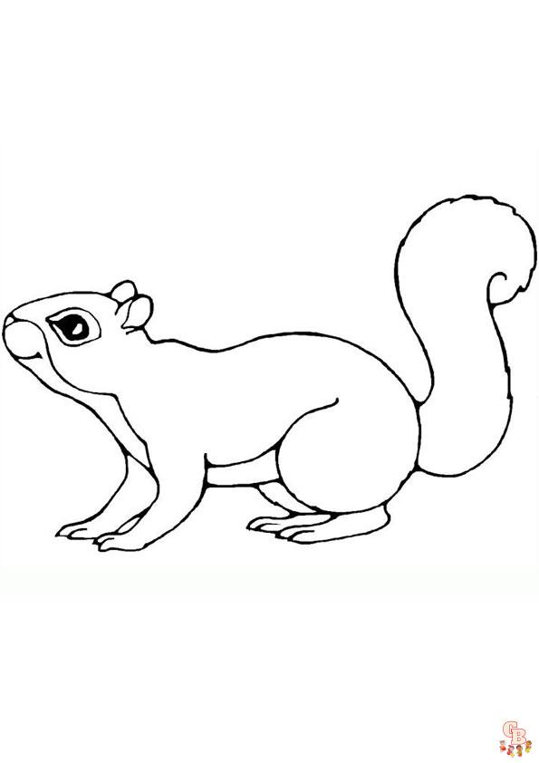 Free printable squirrel coloring pages for kids
