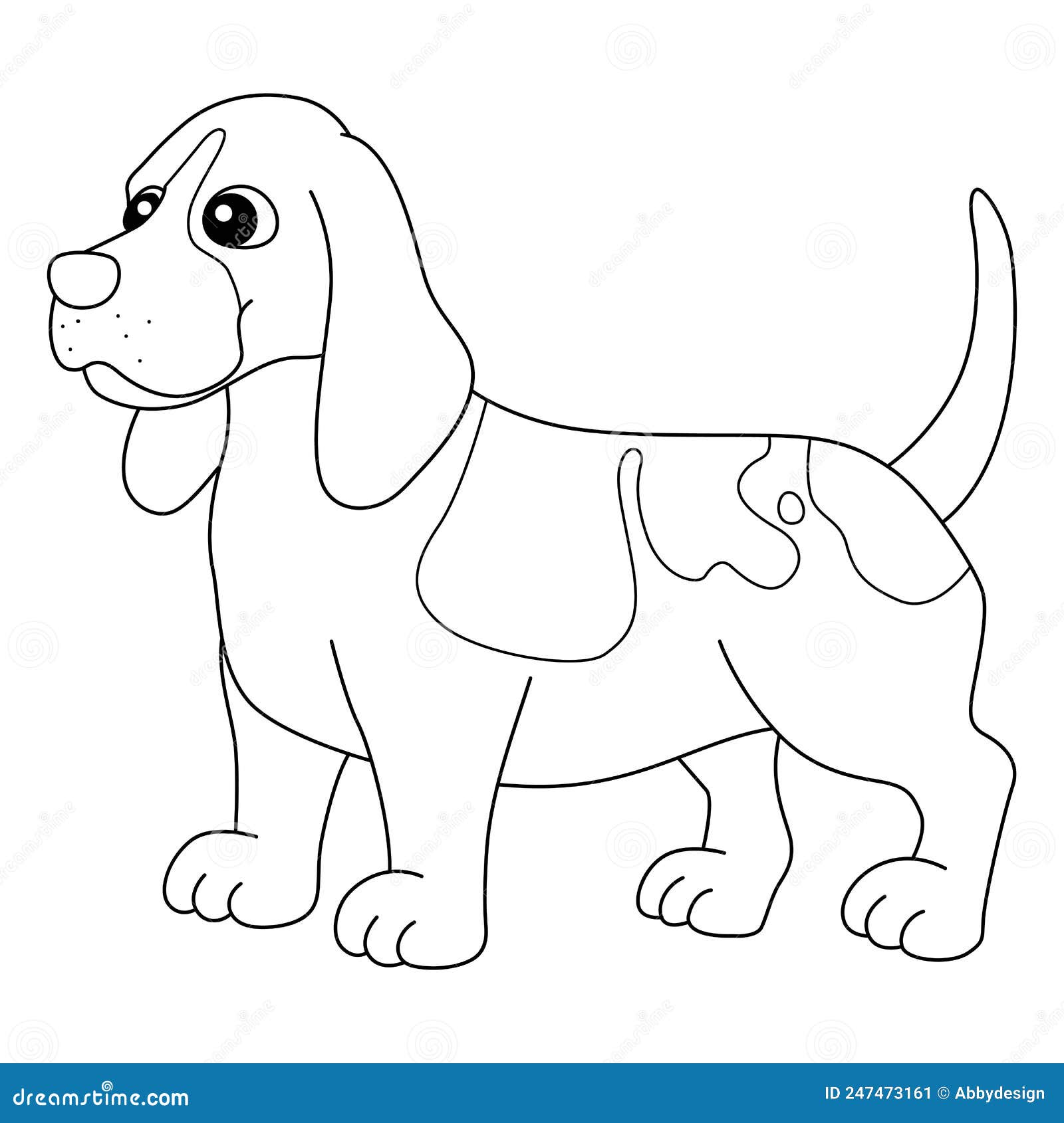 Basset hound dog coloring page isolated for kids stock vector