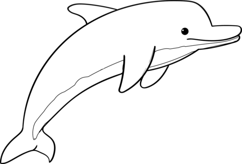 Dolphins coloring pages free coloring pages
