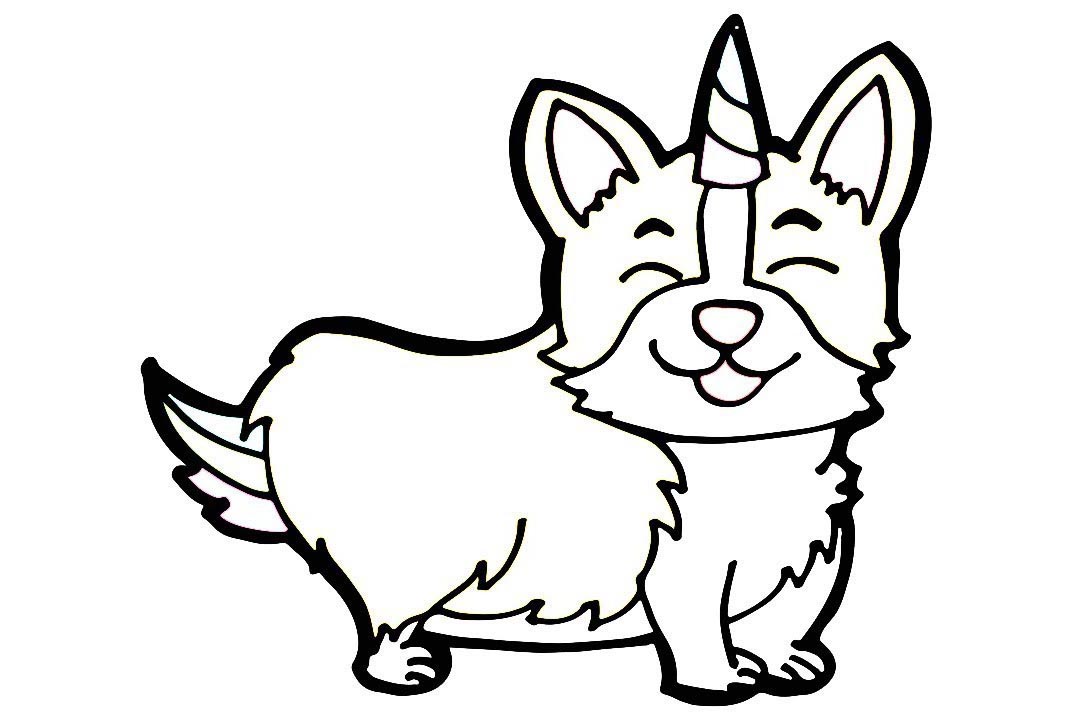 Corgi coloring pages