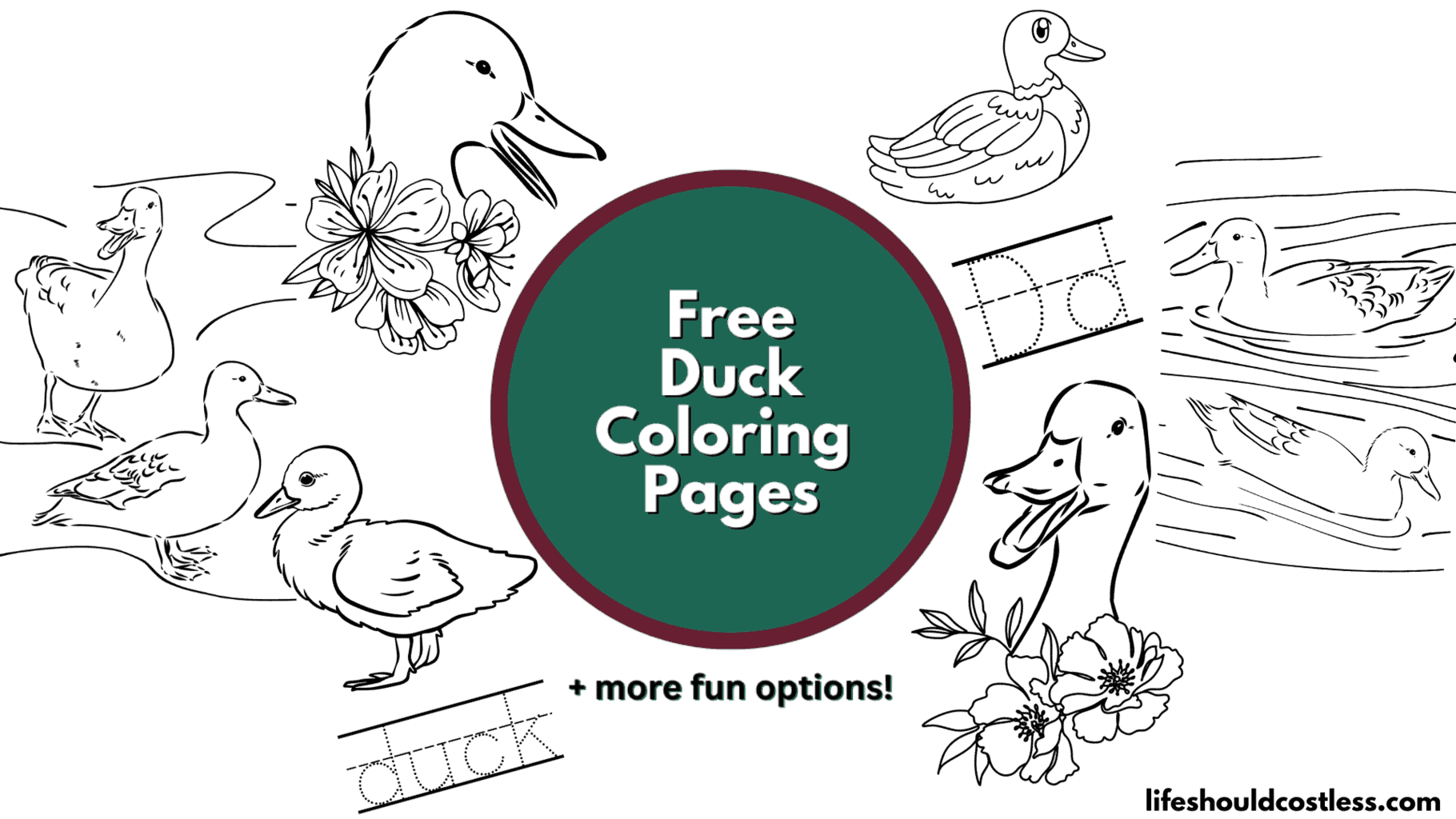 Duck coloring pages free printable pdf templates