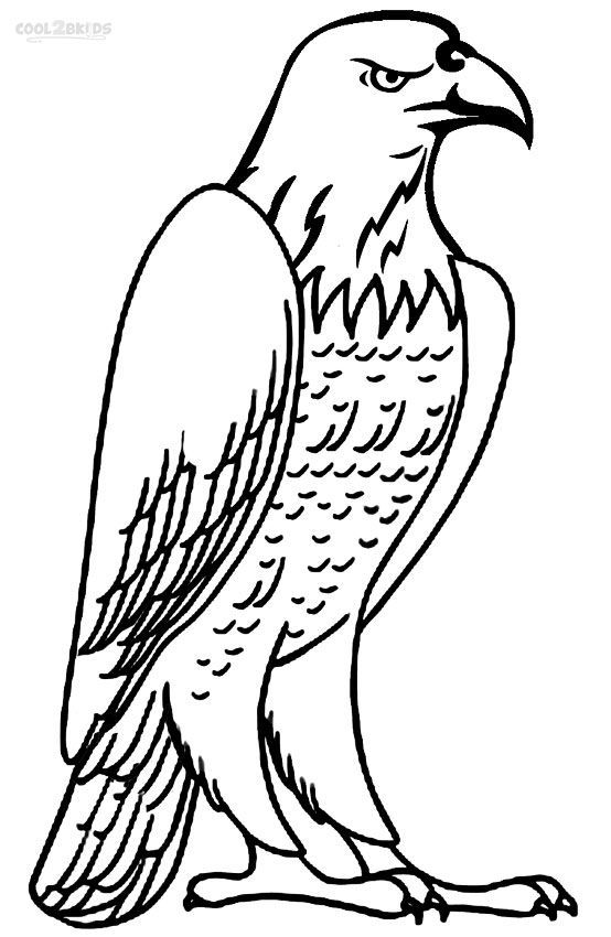 Printable bald eagle coloring pages for kids coolbkids bird coloring pages coloring pages animal coloring pages