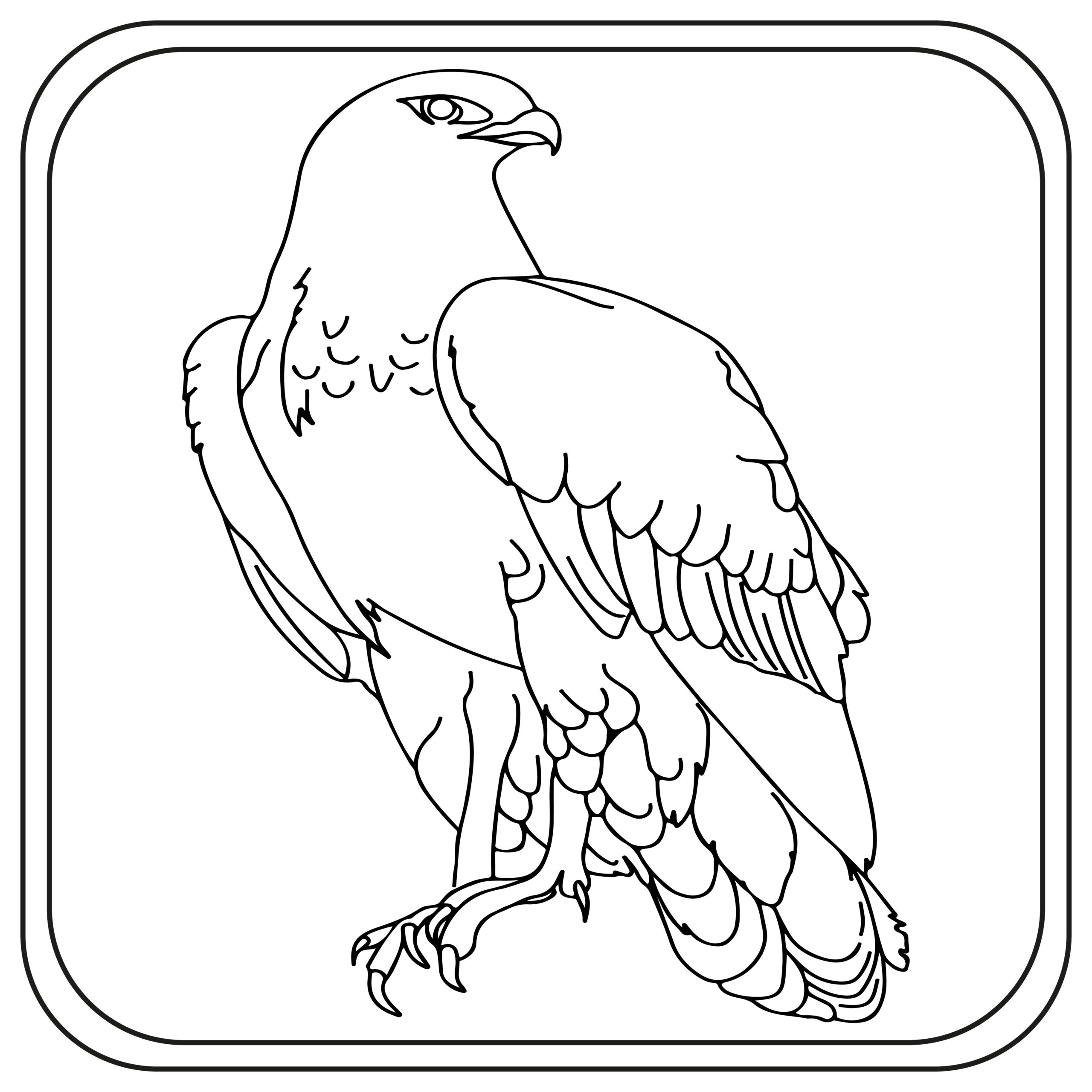 Eagle coloring pages preschool kindergarten first grade made by teachers