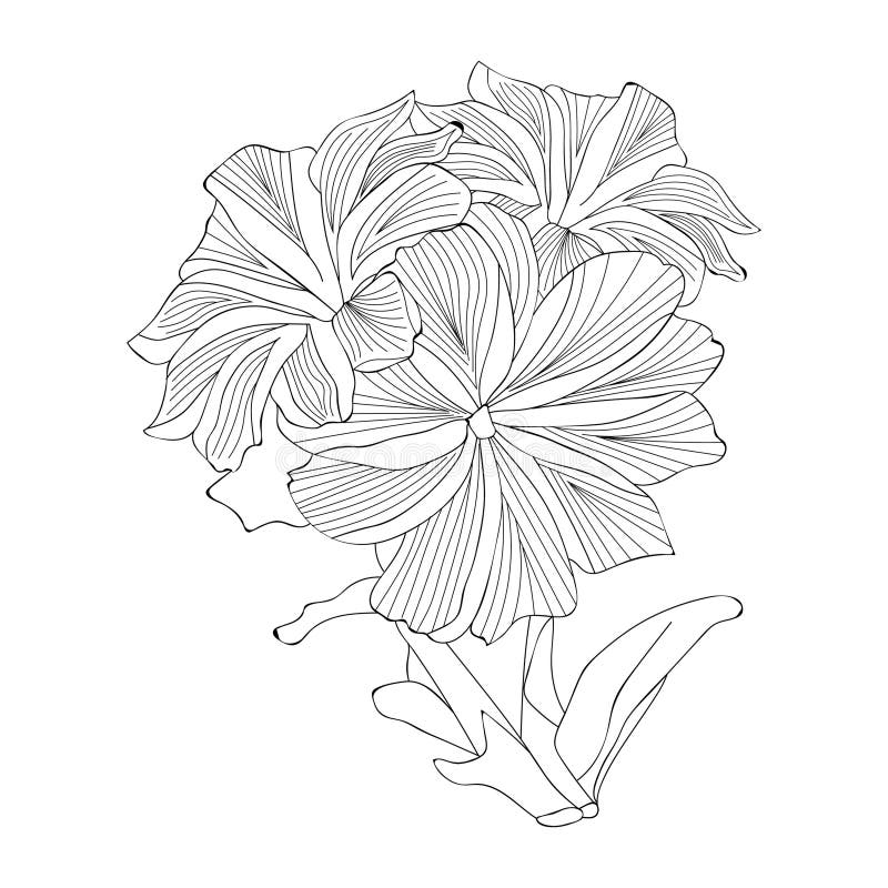 Blossom flwer flower line art cute flower coloring pages flower coloring page for adults stock vector