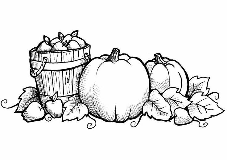 Free printable fall coloring pages for kids