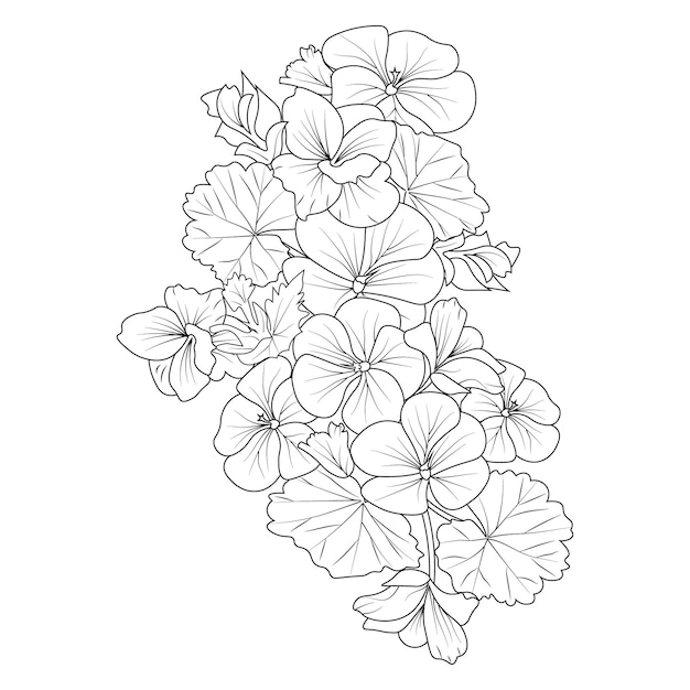 Premium vector isolated geranium flower coloring page and book hand drawn illustration sketch for kids and adult