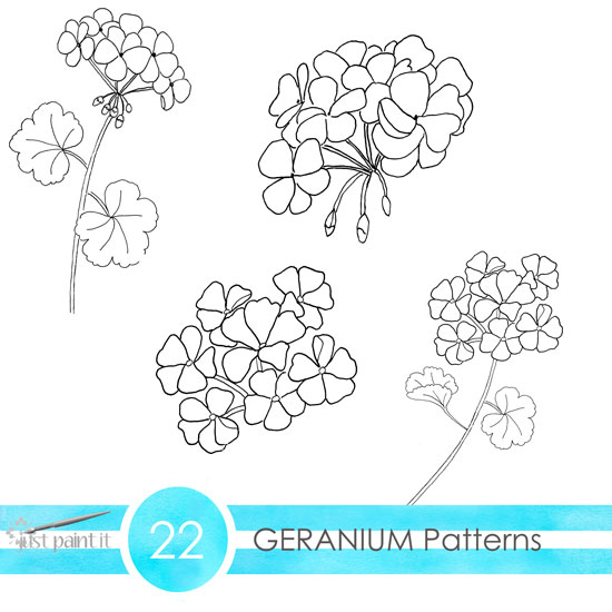 Geranium patterns geranium coloring pages