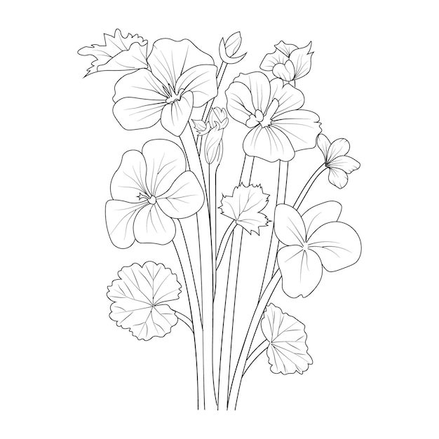 Premium vector outline sketch bouquet of geranium flower isolated on white background coloring pages and books