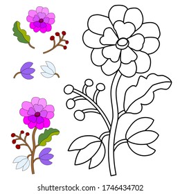 Geranium coloring page stock photos and pictures