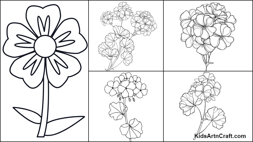 Geranium coloring pages for kids â free printables