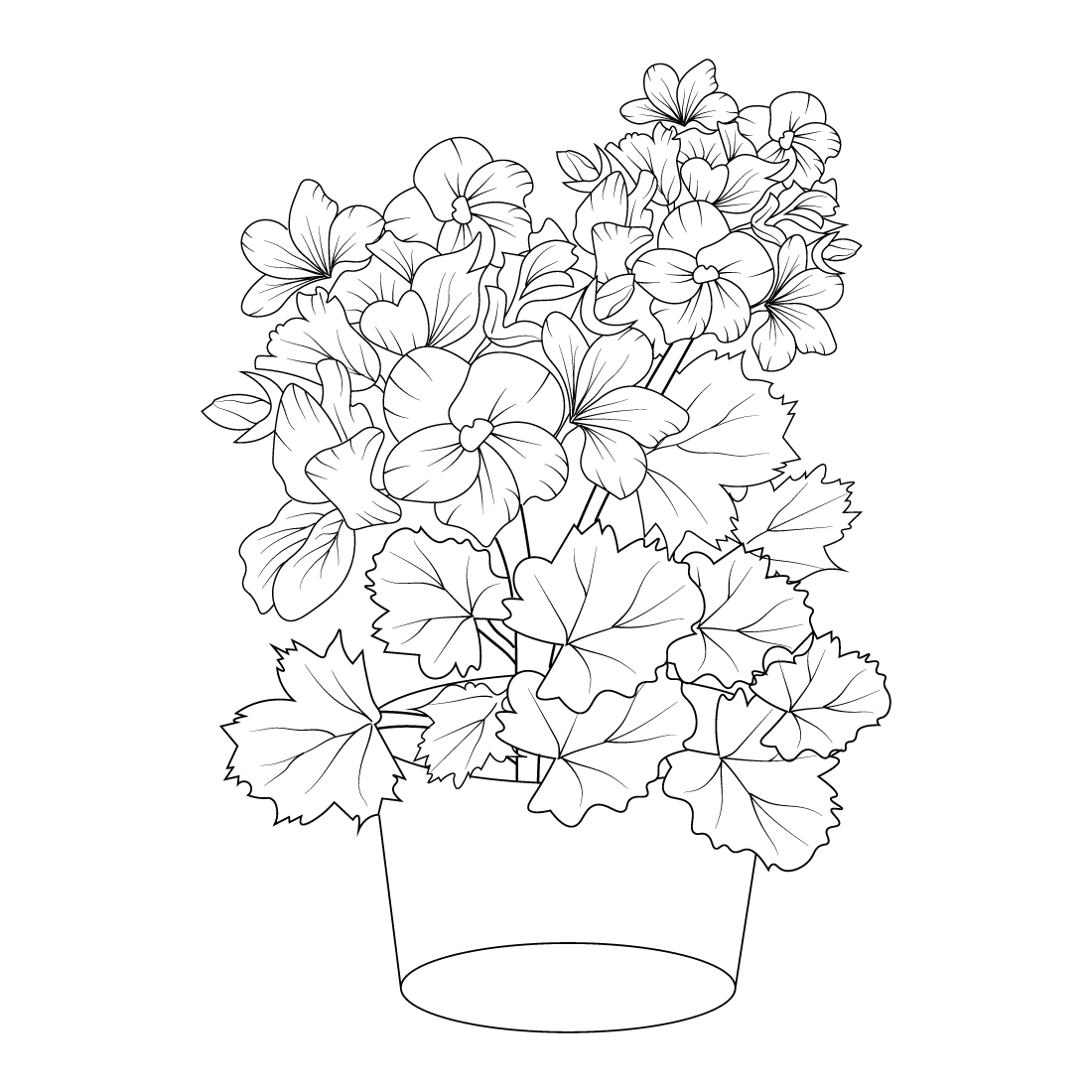 Vintage geranium botanical illustration easy geranium flower drawing outline geranium drawing geranium flower pencil art botanical illustratioin flower coloring page for adults