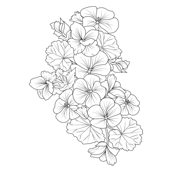 Bouquet geranium flower hand drawn pencil sketch coloring page book stock vector by saminaakter