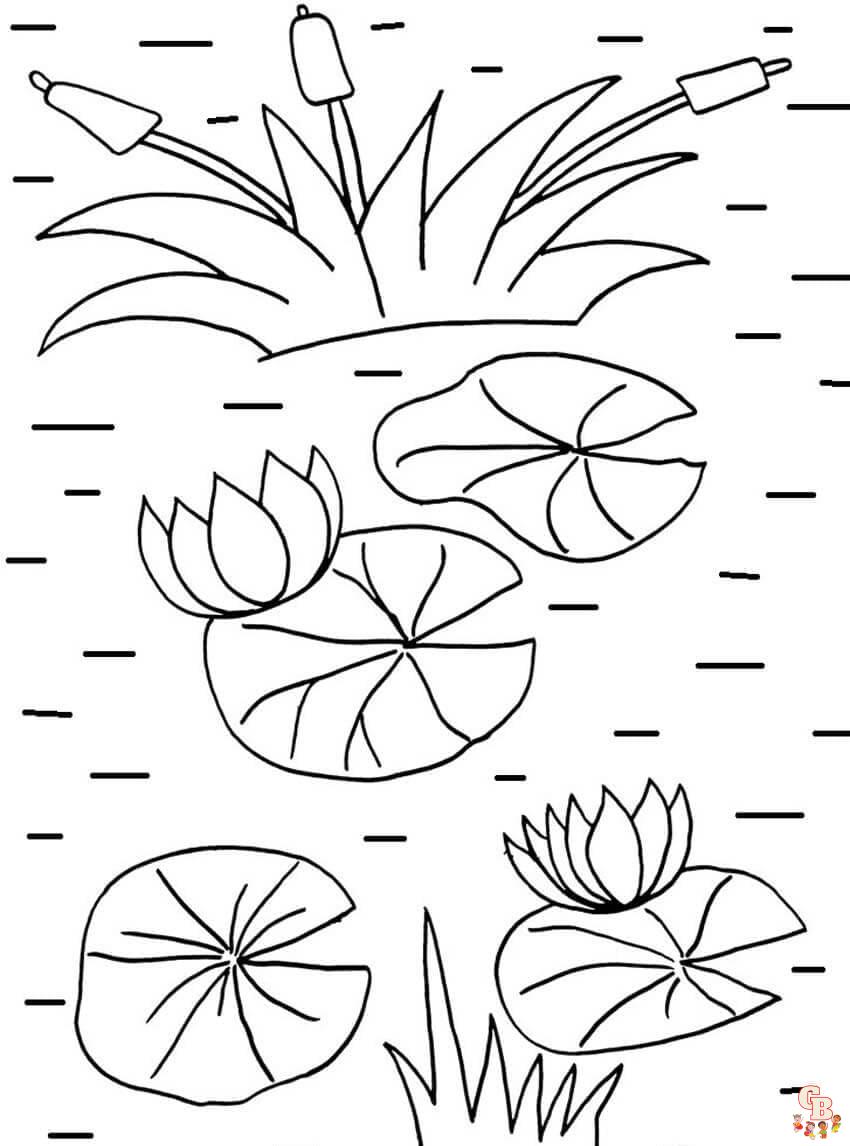 Printable lily pads coloring pages free for kids and adults