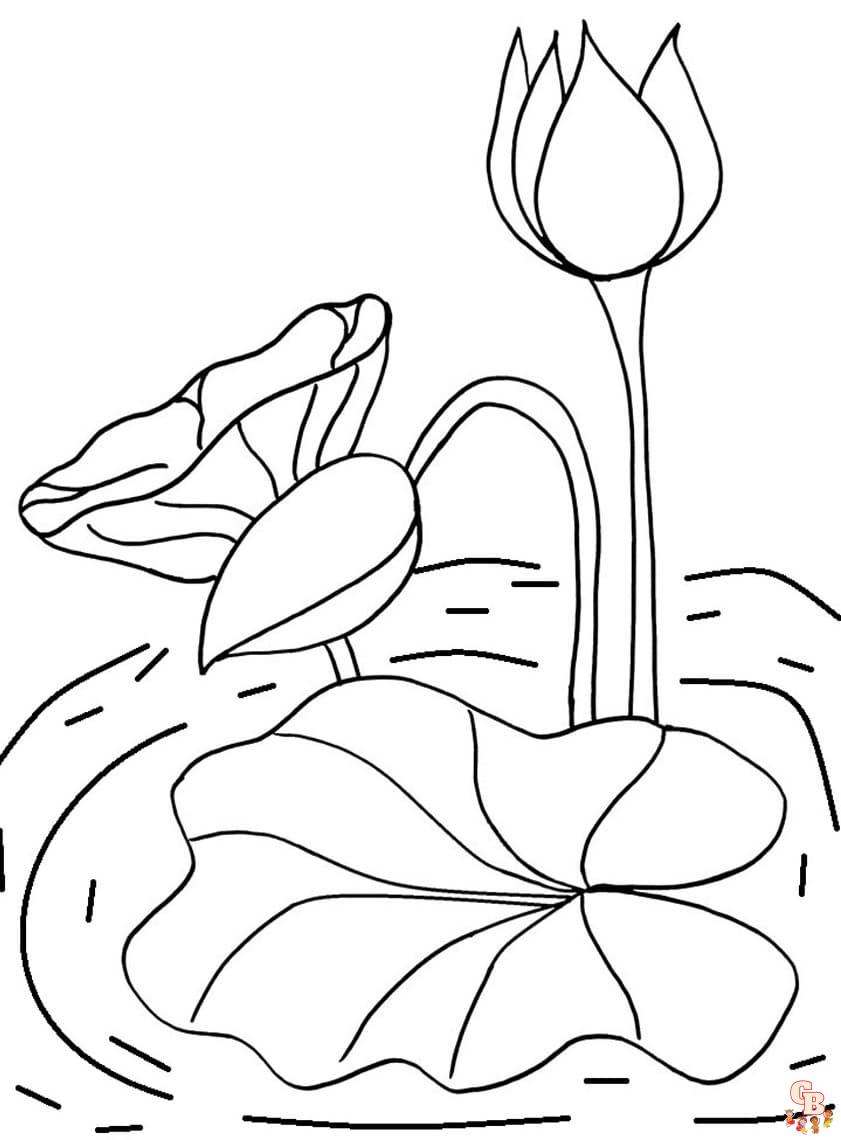 Printable lily pads coloring pages free for kids and adults
