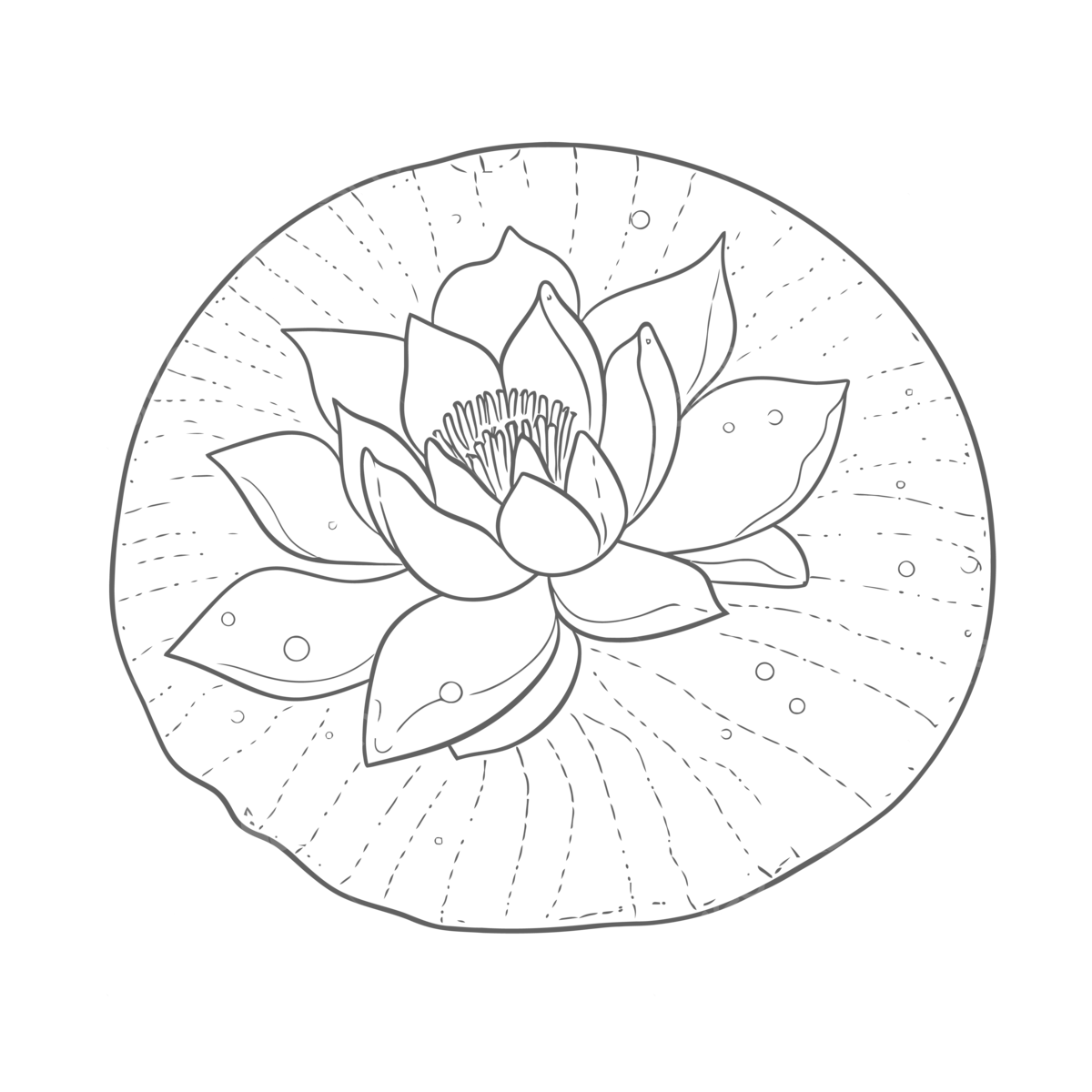 Water lily flower for coloring on a round circle outline sketch drawing vector flower drawing wing drawing water drawing png and vector with transparent background for free download