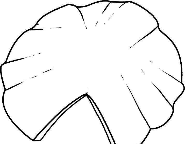 Lily pad coloring pages lily pad drawing lily pads online drawing