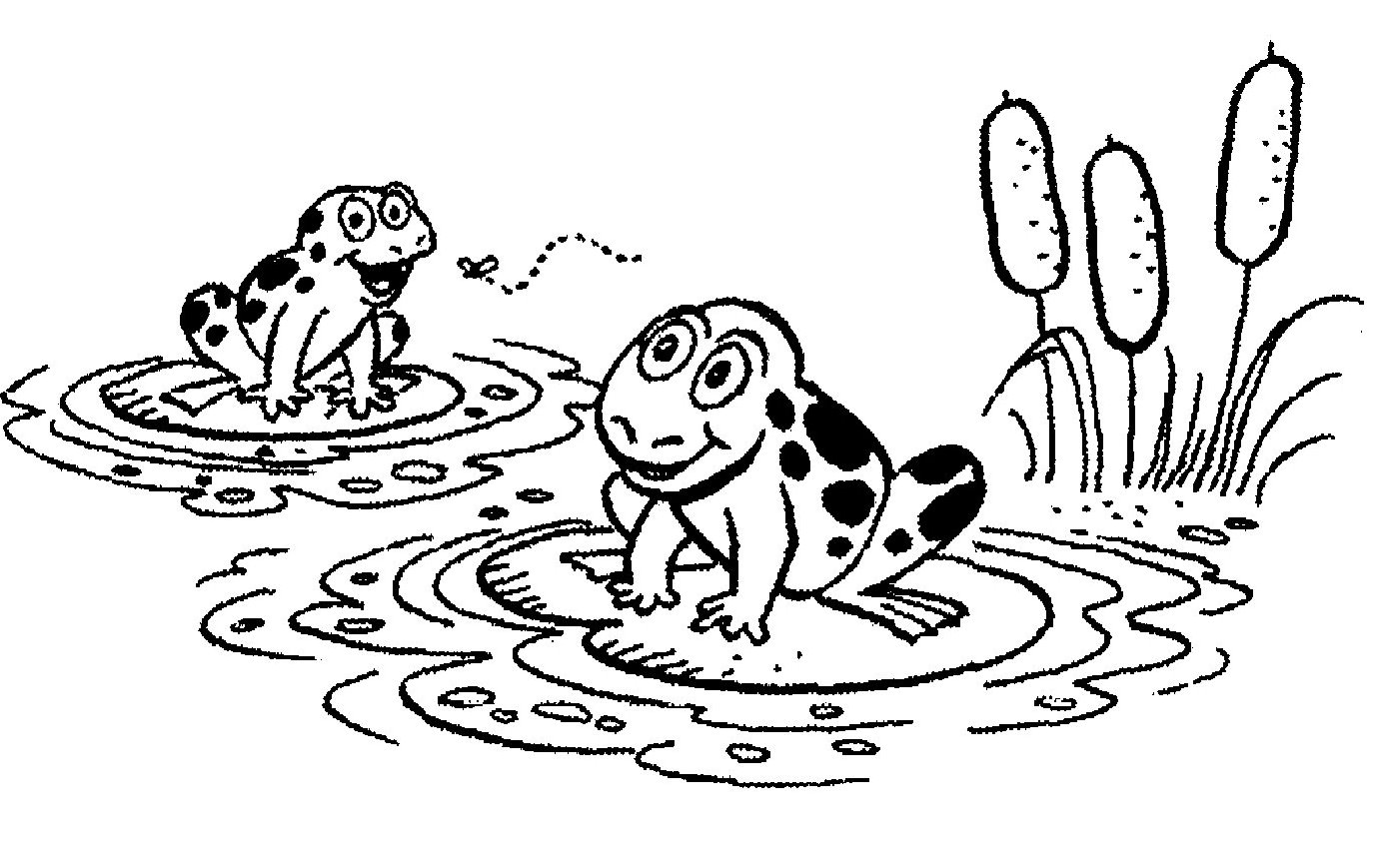 Free printable lily pad coloring pages for kids