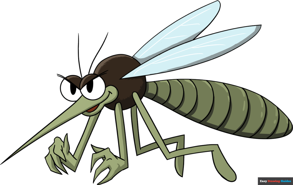 How to draw a mosquito