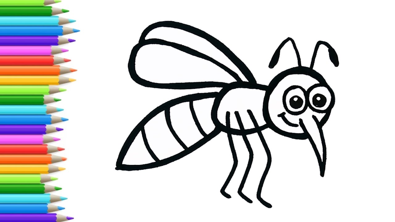 How to draw a osquito drawing for beginners iido art