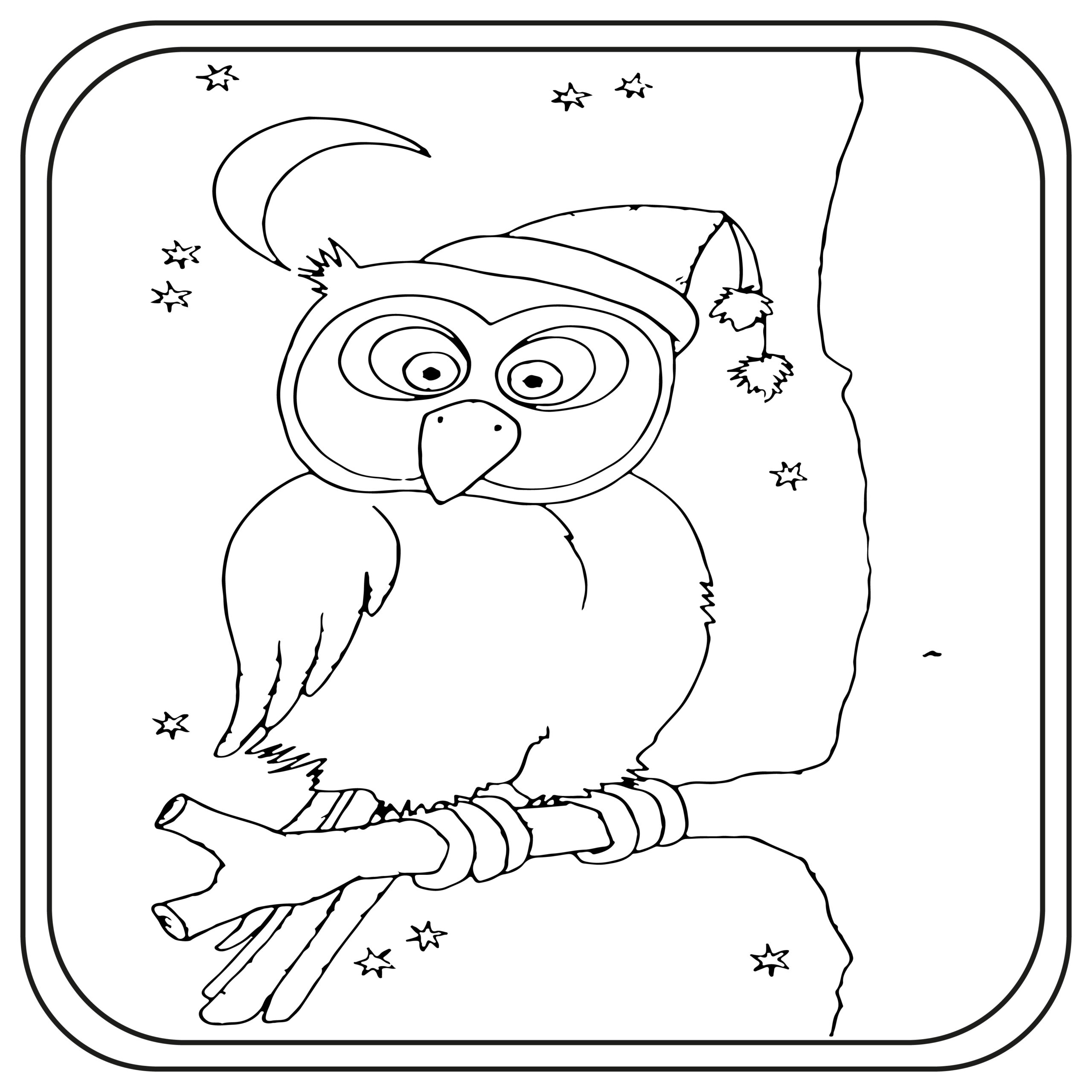 Hello owl coloring pages preschool kindergarten first grade made by teachers