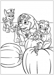 Patrouille a pumpkin falls