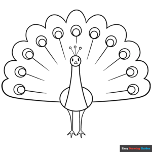 Peacock coloring page easy drawing guides