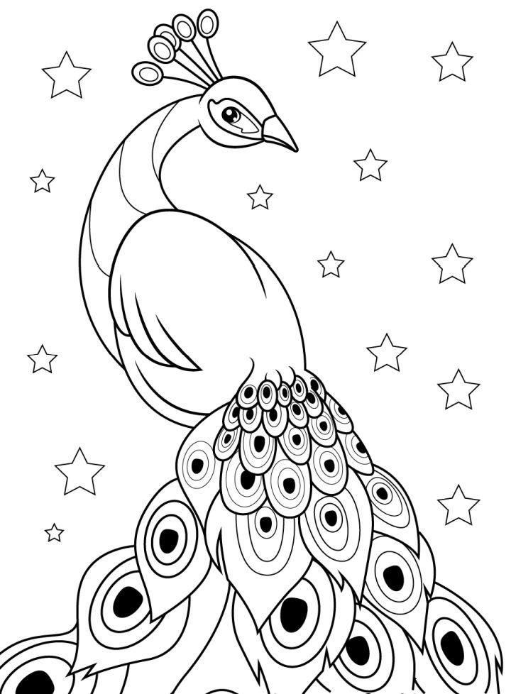 Free peacock coloring pages for kids and adults peacock coloring pages bird coloring pages coloring pages