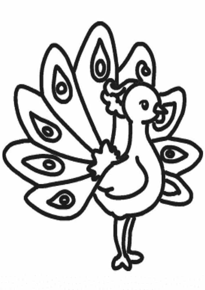 Free easy to print peacock coloring pages