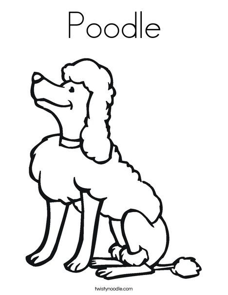 Poodle coloring page