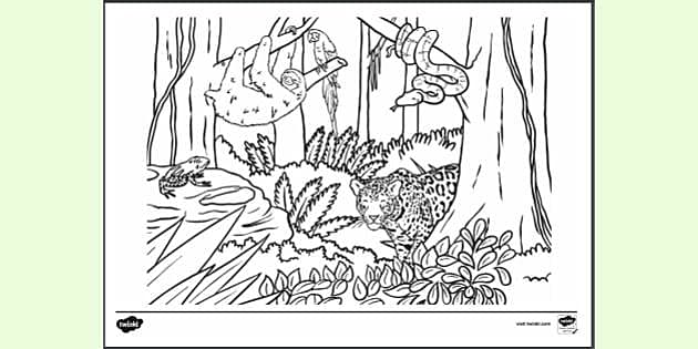 Rainforest mindfulness colouring worksheet easy to print