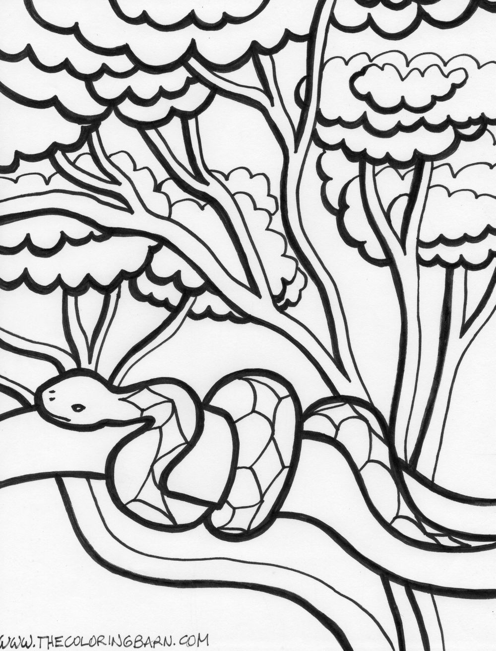 Rainforest coloring pages
