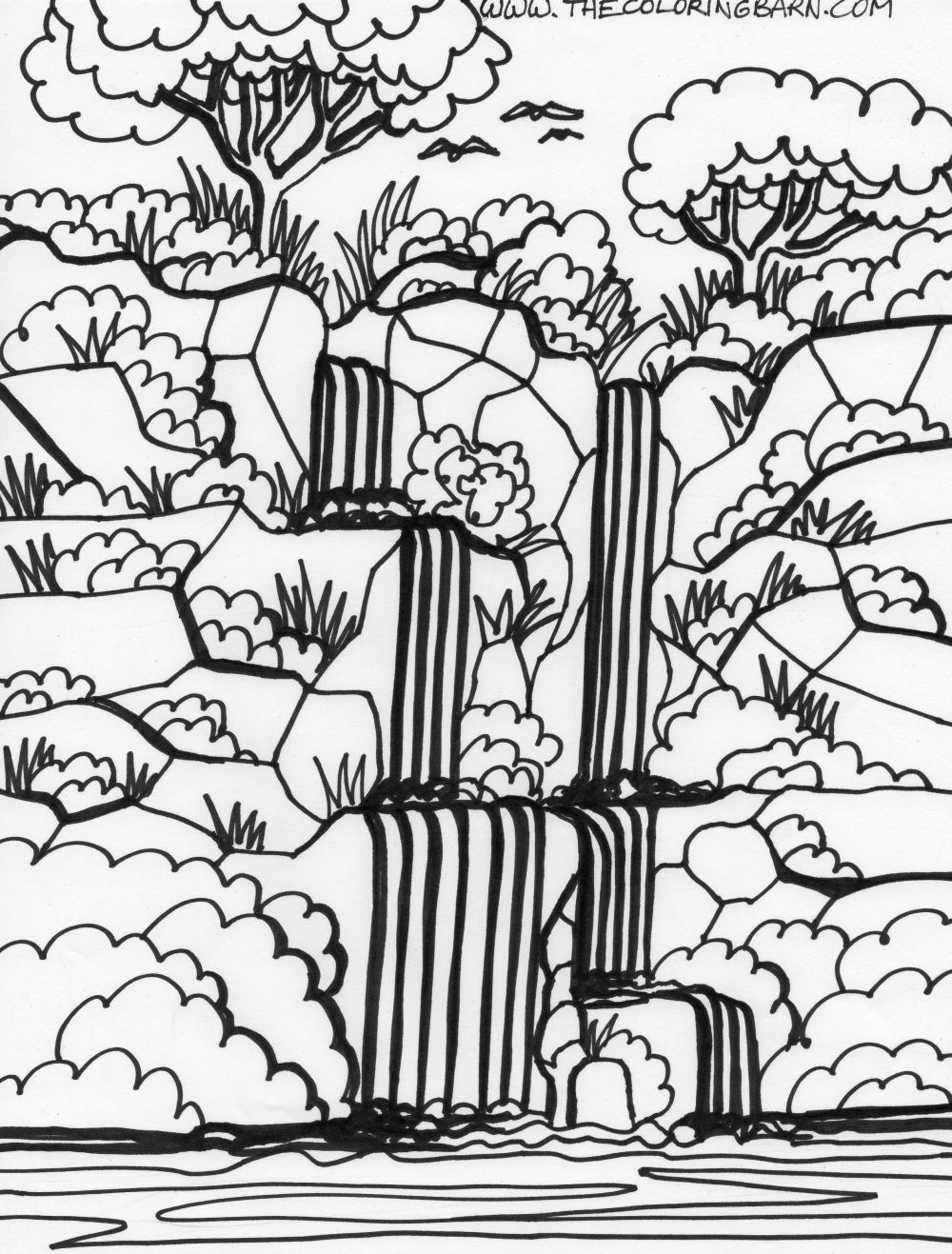 Rainforest coloring pages