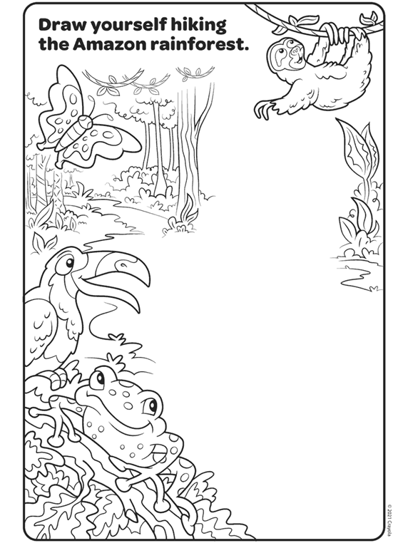 Colors of the world amazon rainforest coloring page