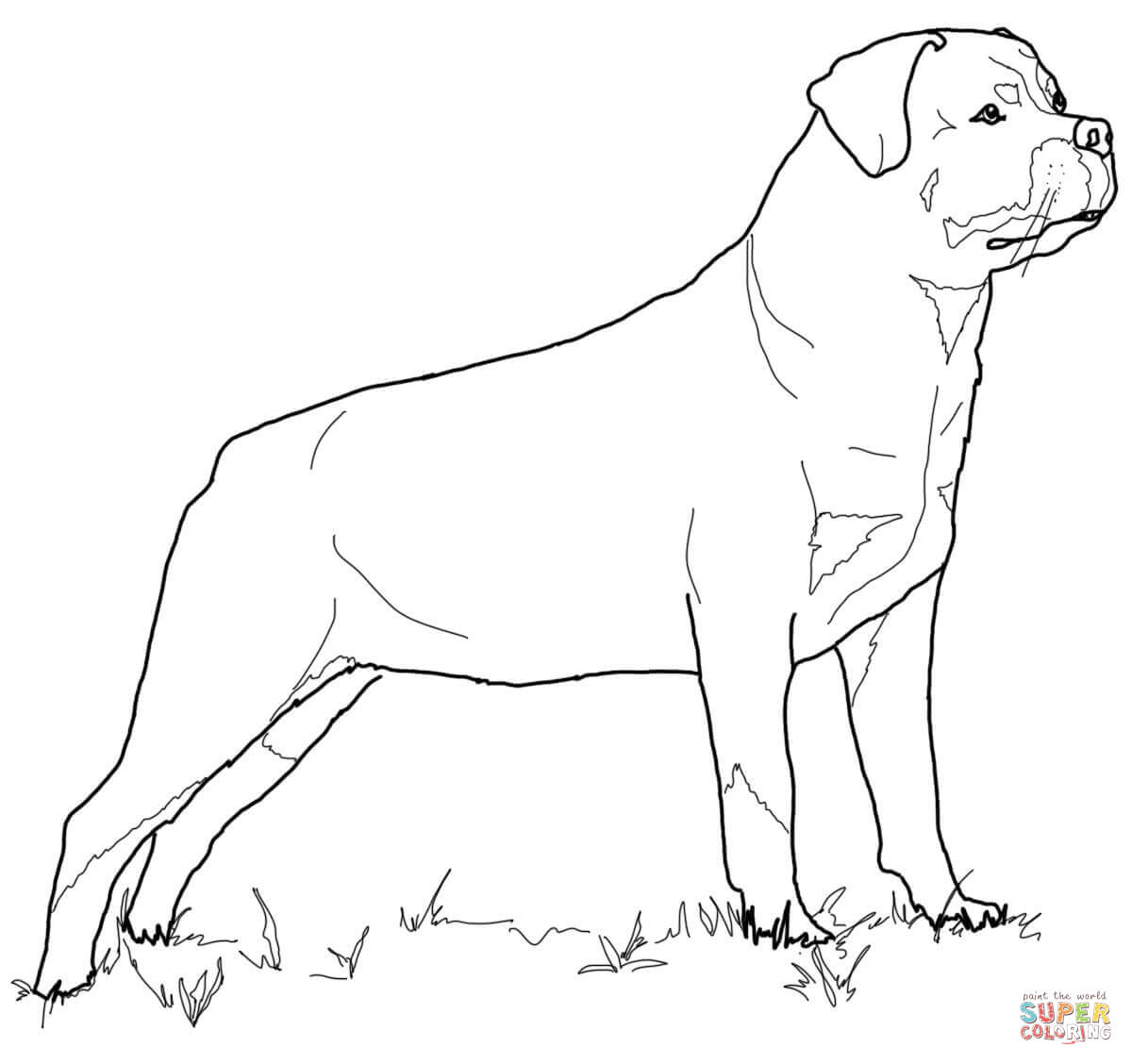 Rottweiler coloring page free printable coloring pages